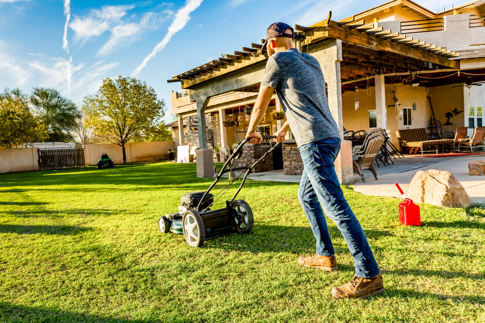 lawn care