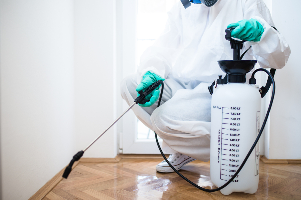 Shutterstock_1042858327 Exterminator in workwear spraying pesticide with sprayer