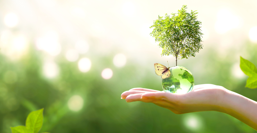 Shutterstock_1500154991 Earth crystal glass globe ball and growing tree in human hand, flying yellow butterfly on green sunny background. Saving environment, save clean planet, ecology concept. Card for World Earth Day.