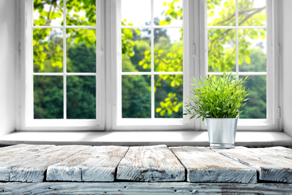 Shutterstock_1010479432 Desk of free space with green plant and window of spring time