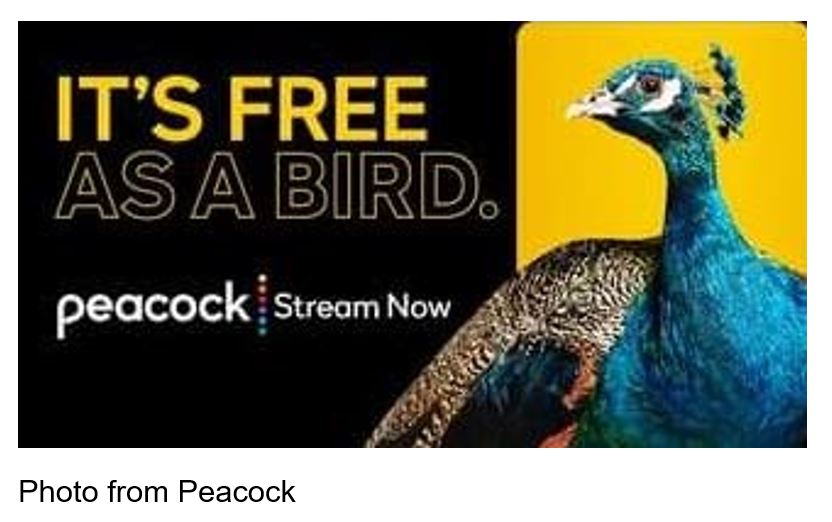 peacock streaming